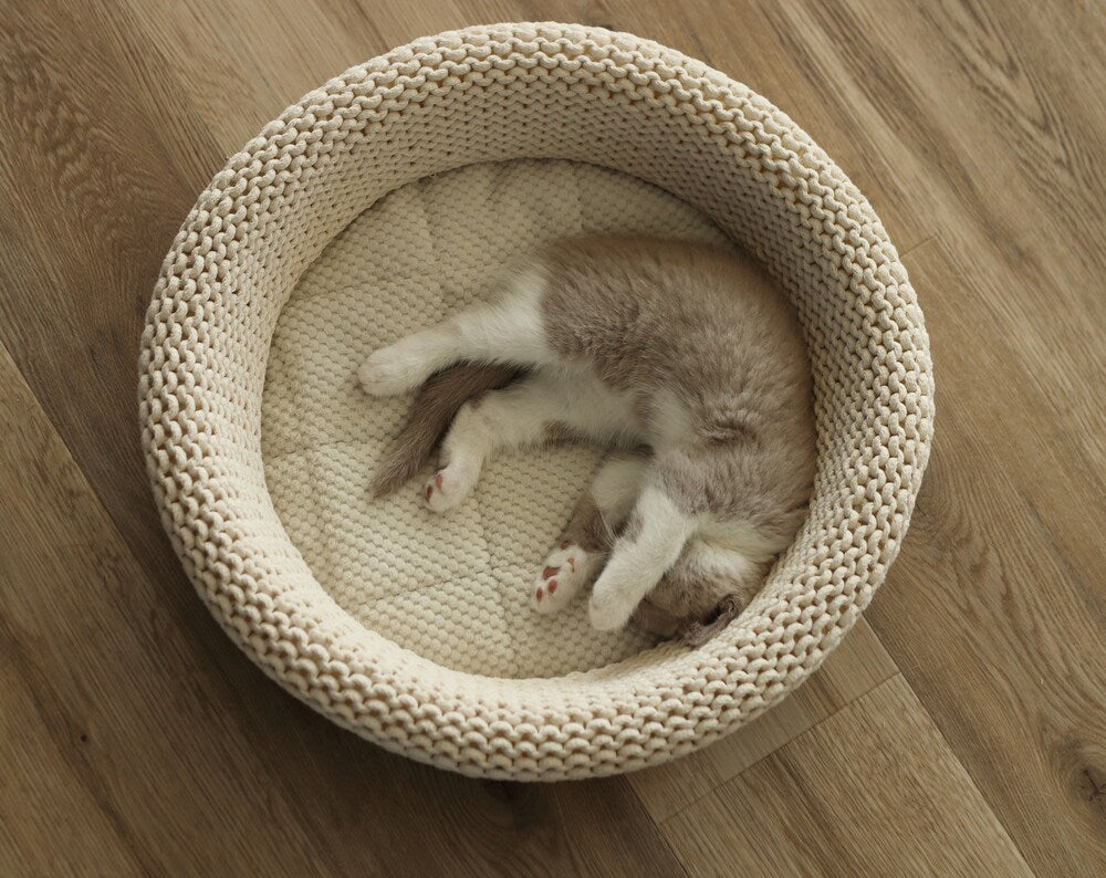 Knitted cat bed